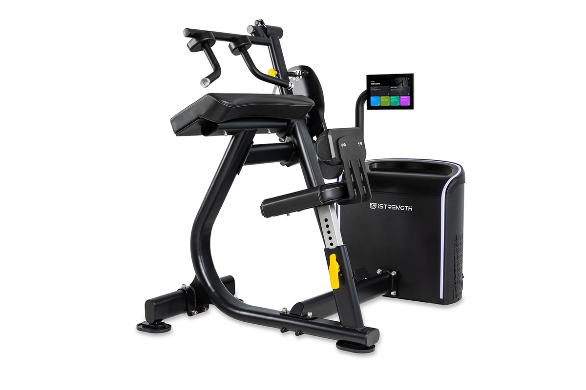 Spirit Fitness i-Strength Biceps Curl/Triceps Extension IS-2002