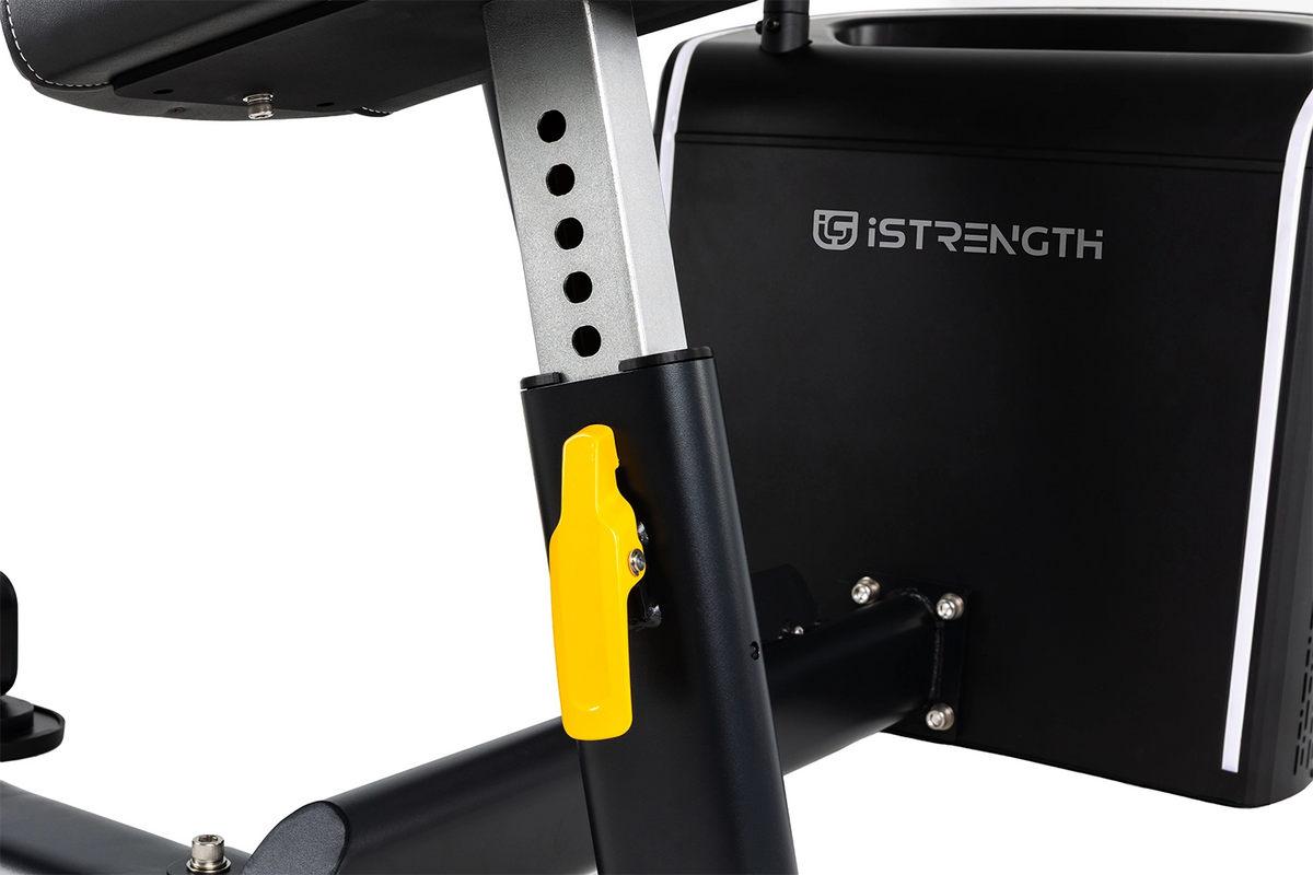 Spirit Fitness i-Strength Biceps Curl/Triceps Extension IS-2002