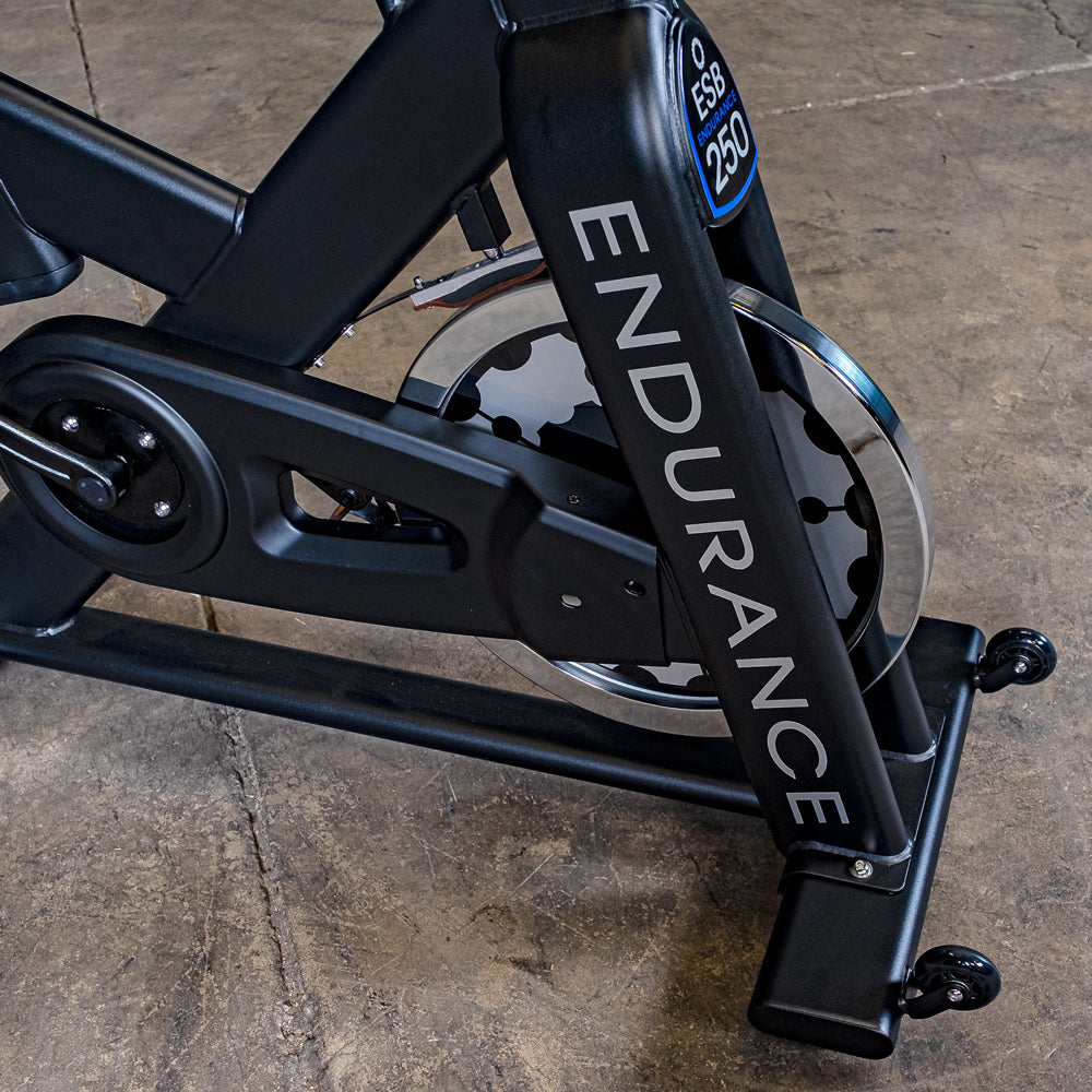 Body-Solid Endurance Indoor Bike Pro ESB250