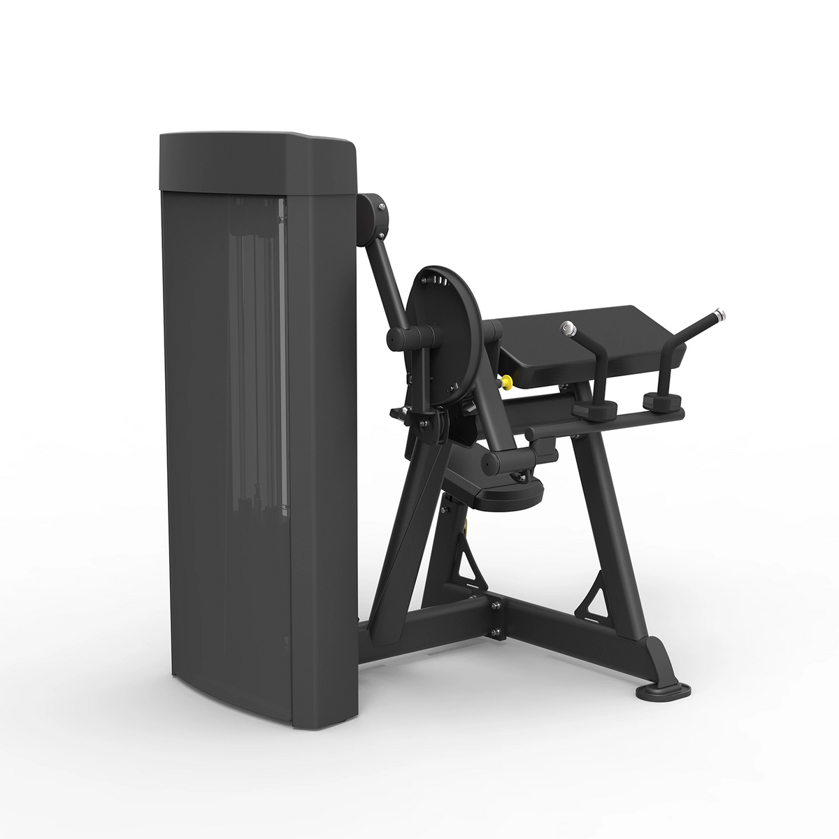 Spirit Fitness Dual-Function Biceps Curl / Triceps Extension SP-4607