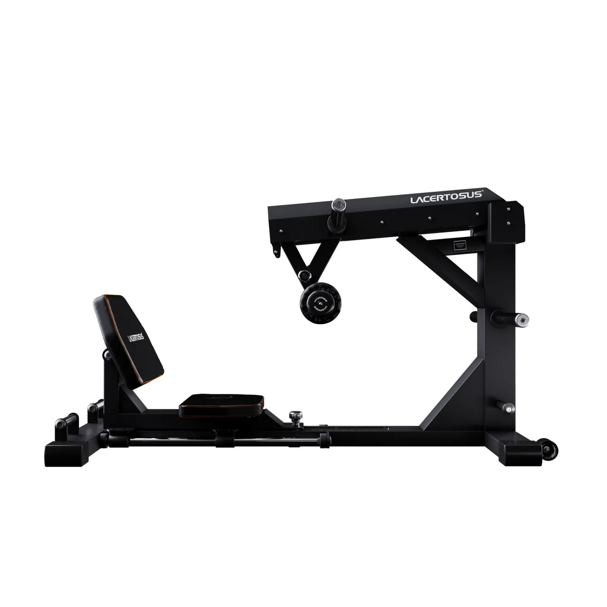 Lacertosus Glute Thruster